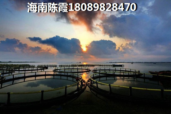在云南100万能买到联排别墅吗，昭通别墅房价比较低的楼盘！